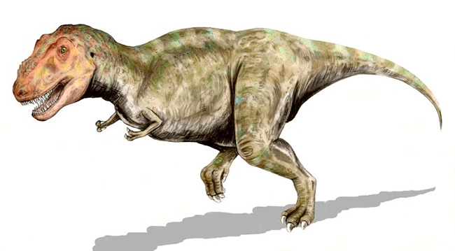 'Wikipedia - T-Rex